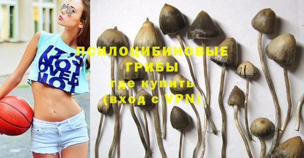 MDMA Алексеевка