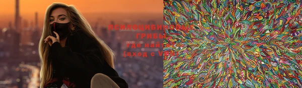 ГАЛЛЮЦИНОГЕННЫЕ ГРИБЫ Алзамай